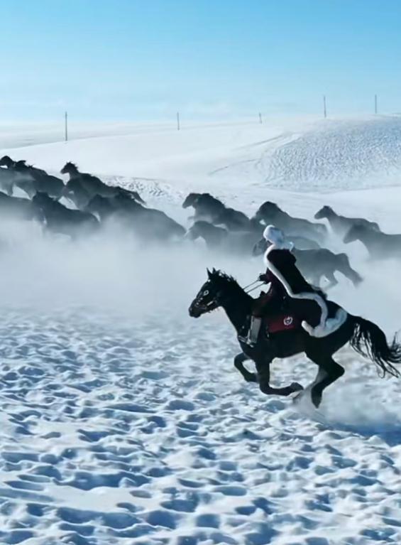 云开官网-47岁贺娇龙去世后续！好友曝其婚姻现状，三任老公都离了，没孩子