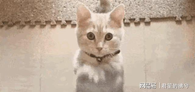 yunkai官网-娱乐圈又丢人！嫣然医院捐款名单曝光，年入上亿明星一个都不吭声